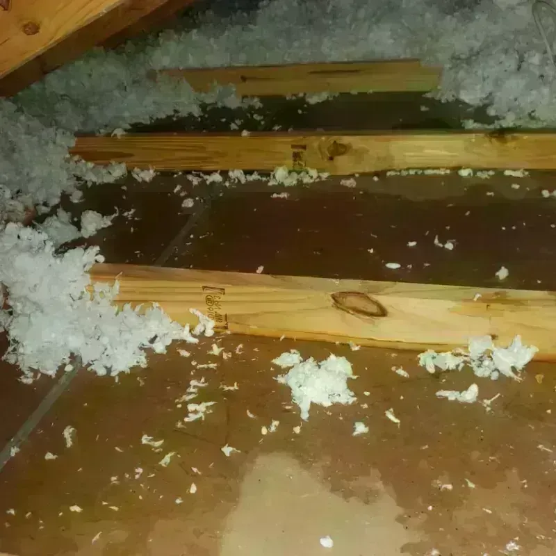 Attic Water Damage in Winslow, AZ