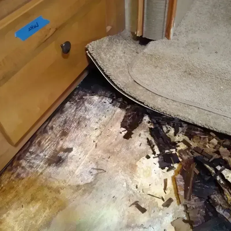 Wood Floor Water Damage in Winslow, AZ